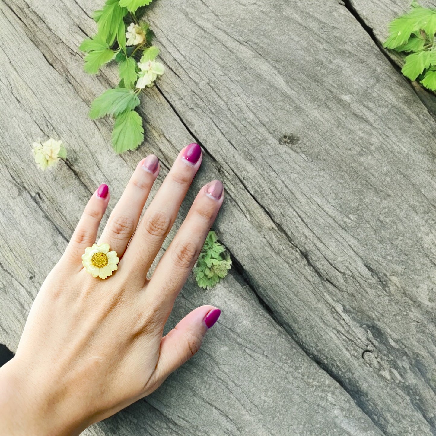 Real Daisy Ring