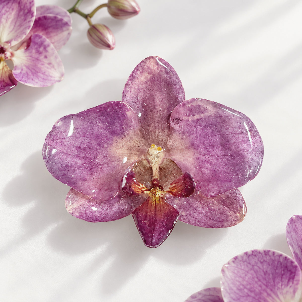 Real Orchid Hair Pin