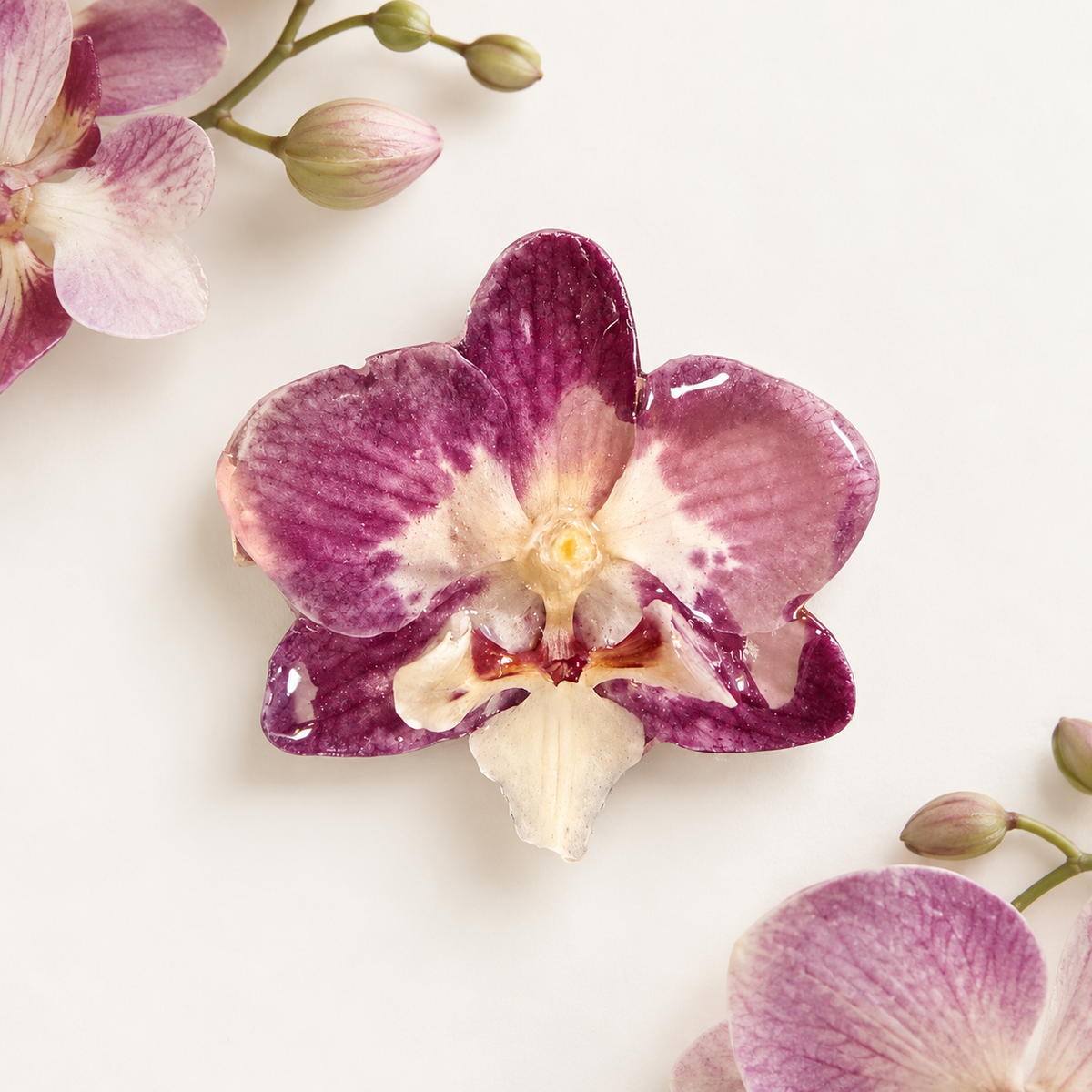 Real Orchid Hair Pin