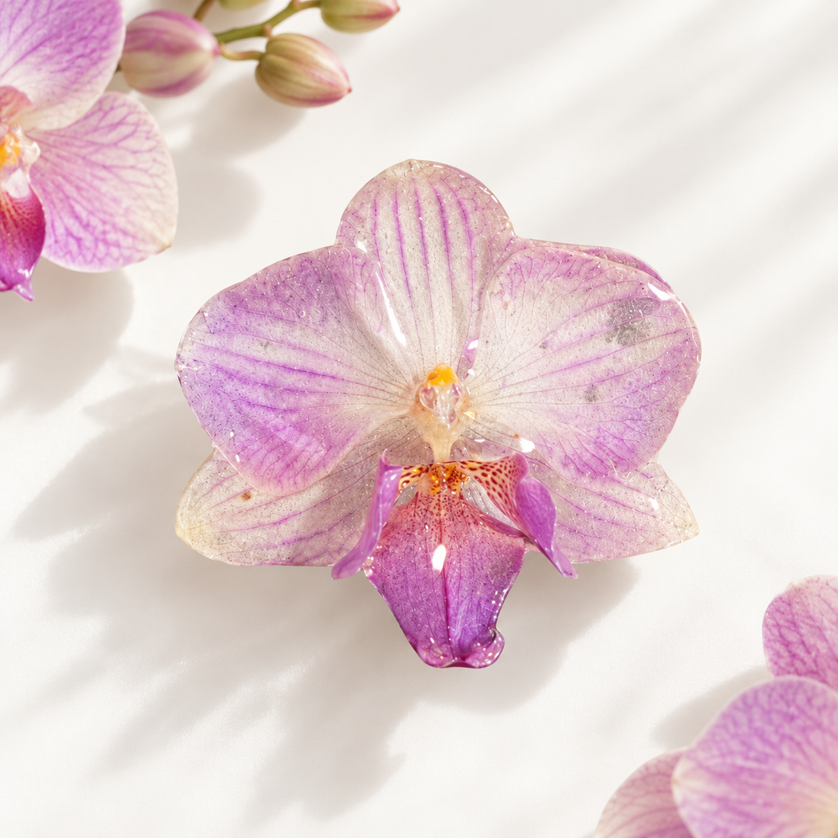 Real Orchid Hair Pin